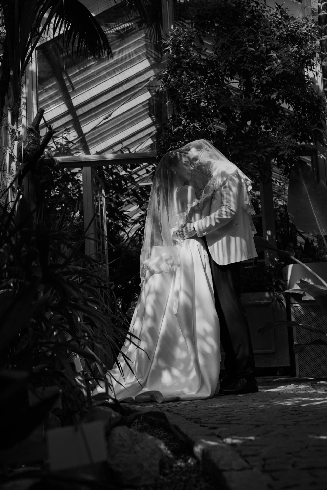 Black and white photograph of a couple kissing beneath a lace veil in a sunlit glasshouse, dappled shadows across the dress.